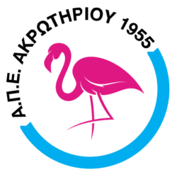 apeafc logo e1730707682631